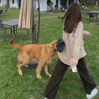 美洲艳后