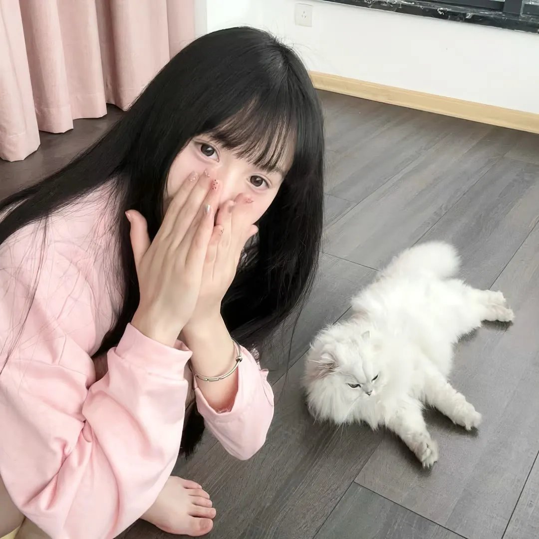 彩色响尾蛇